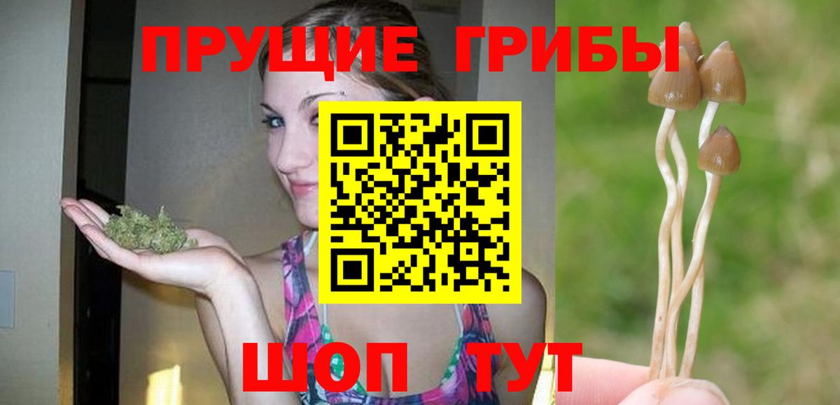 Мичуринск  Галлюциногенные грибы Cubensis  Вход с VPN  Галлюциногенные грибы Magic Shrooms 